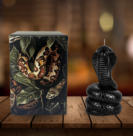 Black snake candle in custom gift box – unscented gothic candle for aesthetic decor or goth gifts