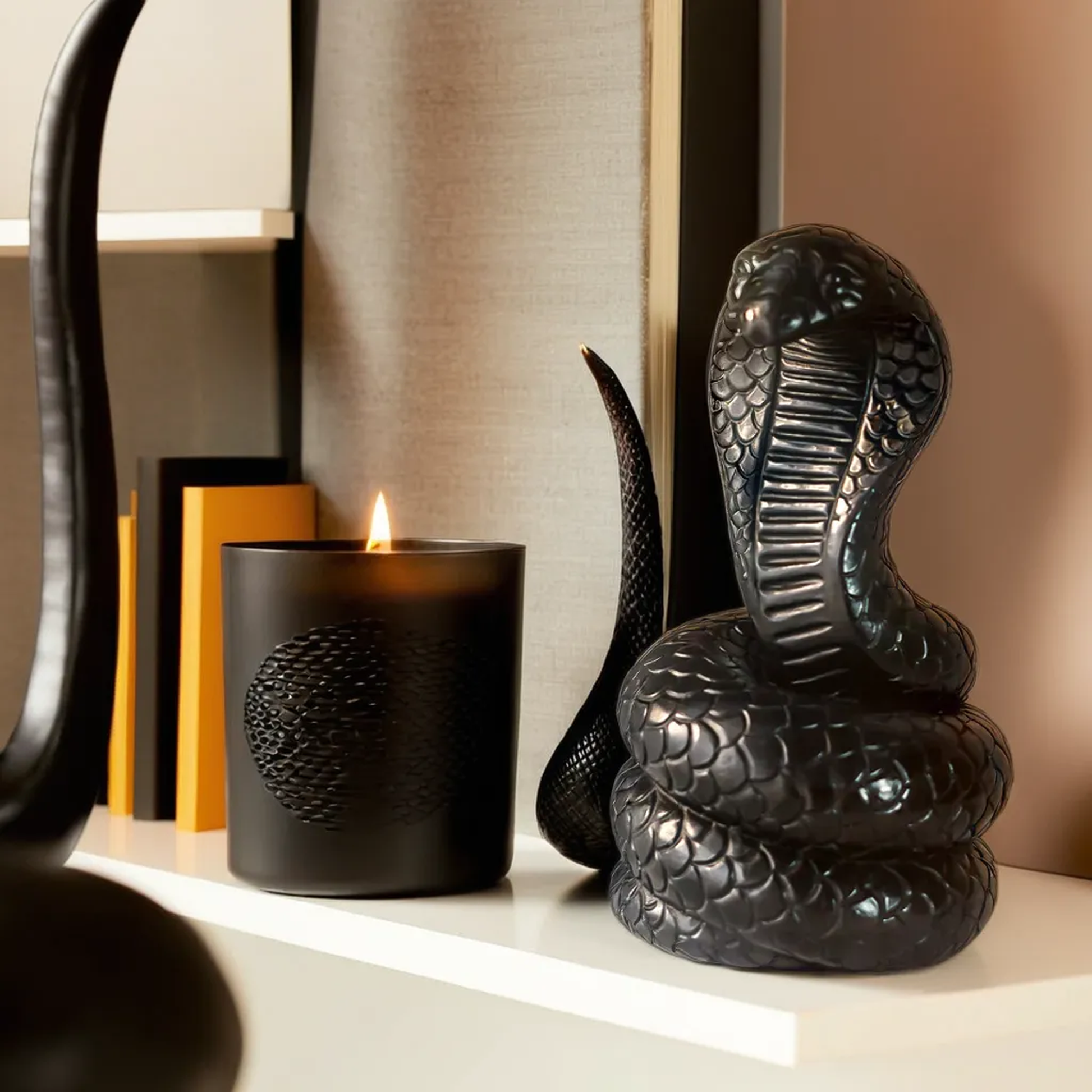 Snake candle on bookshelf in modern room – black decorations, aesthetic candles, snake decor