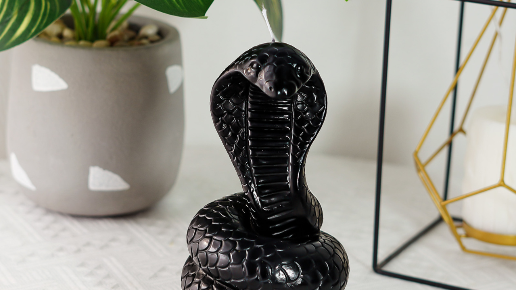 Load video: black snake gothic home decor overview and test