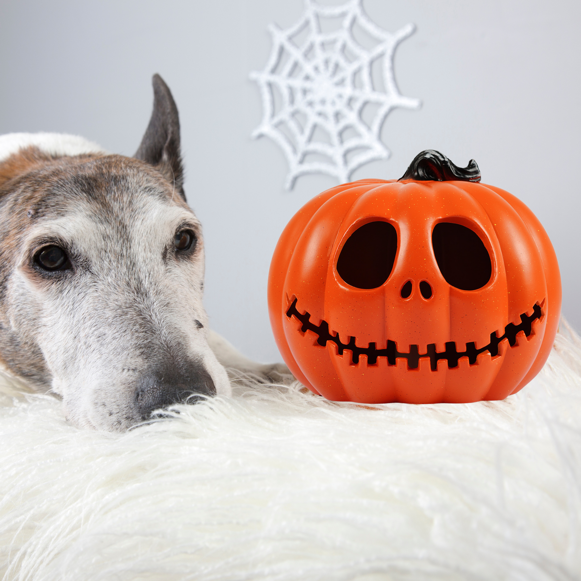 halloween table decorations pumpkin