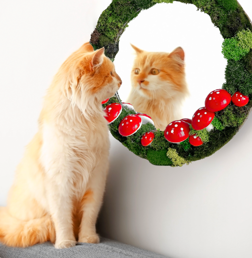 preserved moss wall art mirror